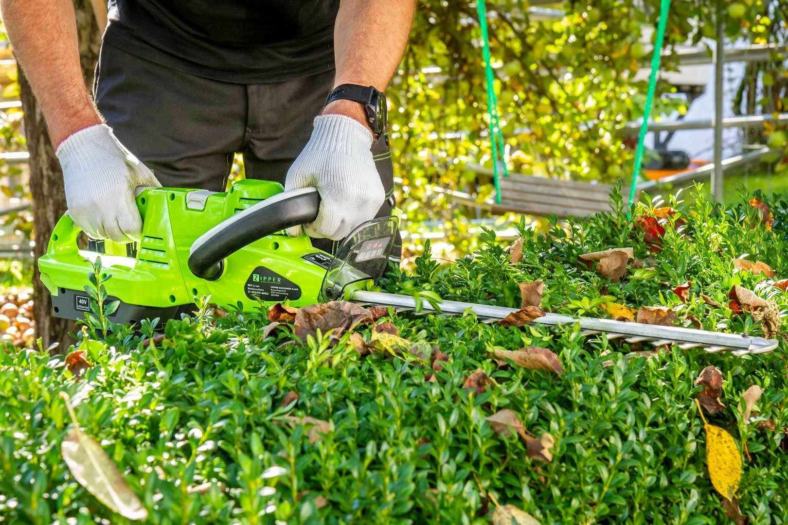 Zipper Geschäft -Zipper Geschäft 00