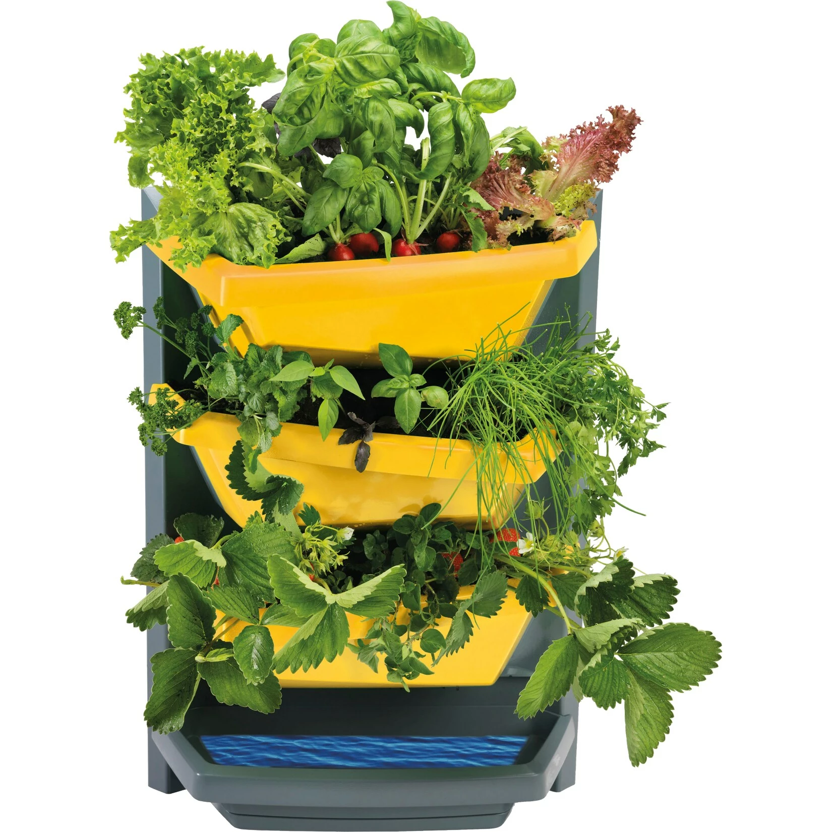 Juwel Vertical-Garden Grundelement Safrangelb 5 Juwel Vertical-Garden Grundelement Safrangelb – Bild 5