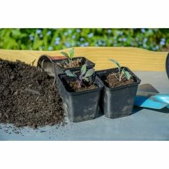 Sonstiges Dobar 29052 Pflanztisch Aus Imprägniertem Kiefernholz, 40 X 86 X 80 Cm -Zipper Geschäft 1622608000 prod 005