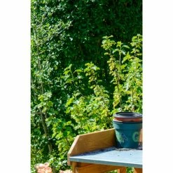 Dobar 29053 Zusammenklappbarer Pflanztisch Aus Kiefernholz, 85 X 44 X 89 Cm -Zipper Geschäft 1622612000 prod 004