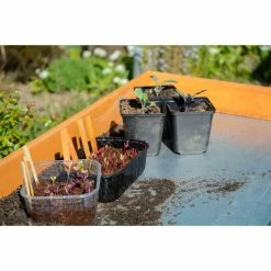 Dobar 29053 Zusammenklappbarer Pflanztisch Aus Kiefernholz, 85 X 44 X 89 Cm -Zipper Geschäft 1622612000 prod 006