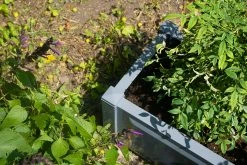 Sonstiges Pflanzkasten Rechteckig, Grau -Zipper Geschäft 1825836002 prod 006