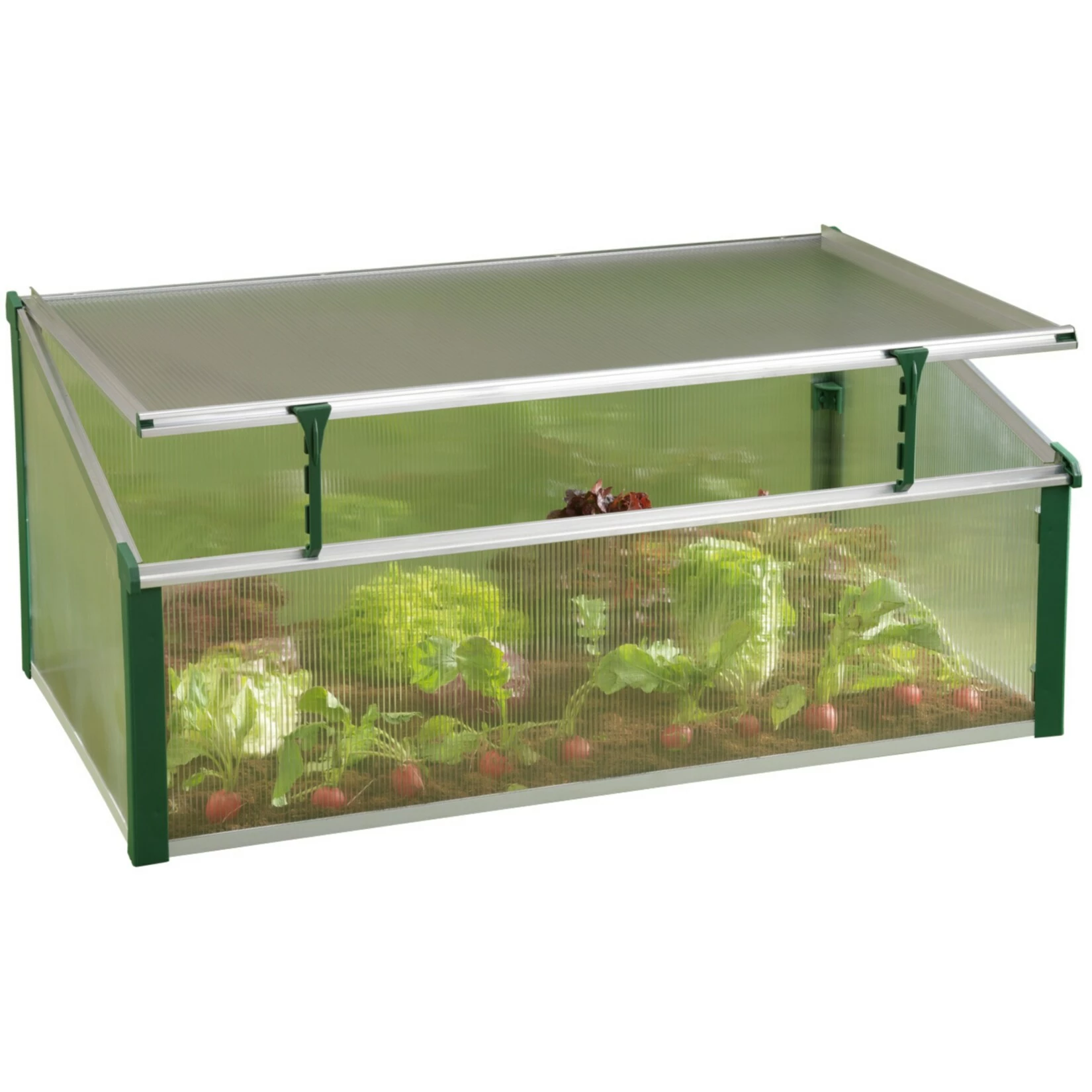 Juwel 100/60 Easy Fix Komfort-Frühbeet Mit Fensterfixierung 1 Juwel 100/60 Easy Fix Komfort-Frühbeet Mit Fensterfixierung