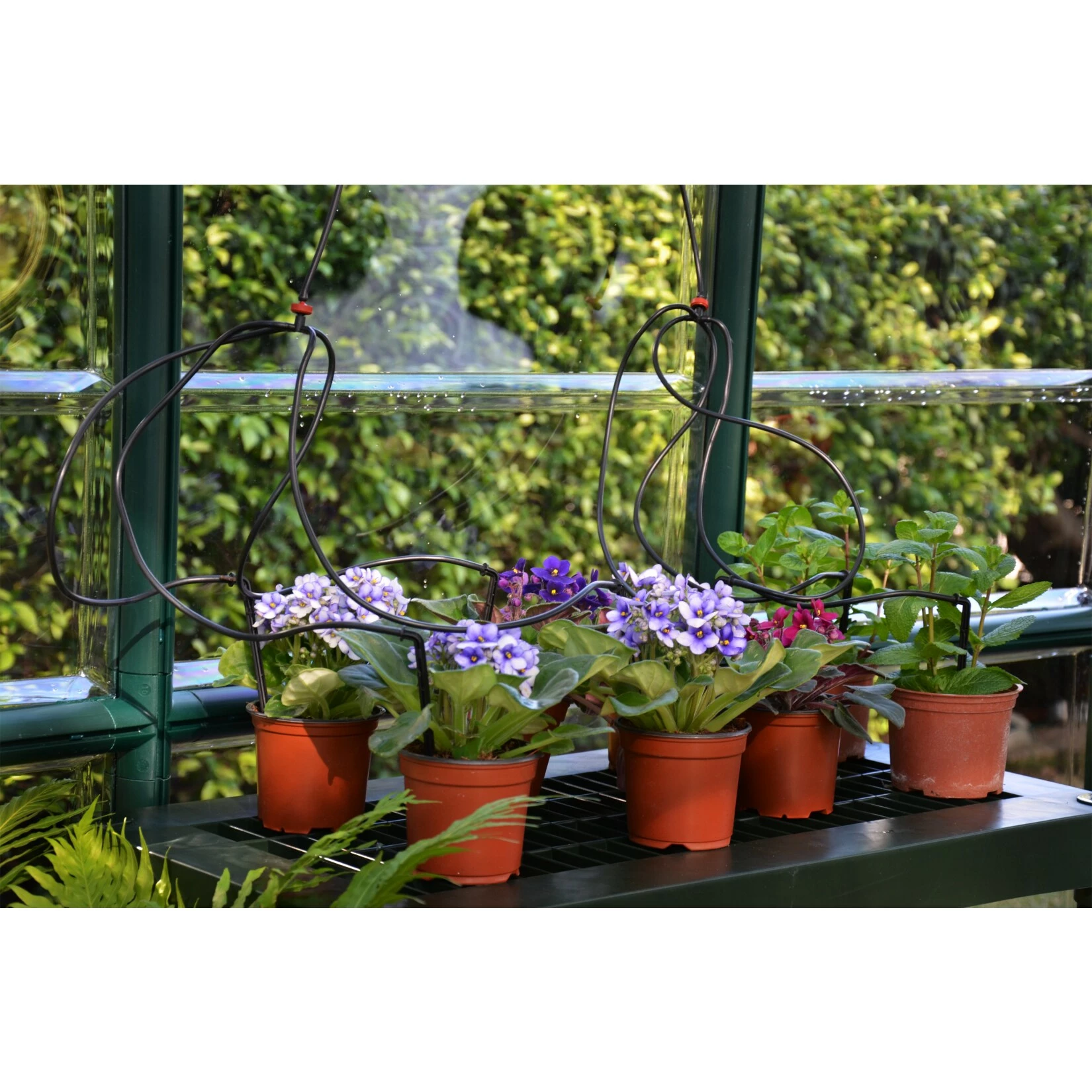 Rion Pflanztisch, 2 Etagen 5 Rion Pflanztisch, 2 Etagen – Bild 5