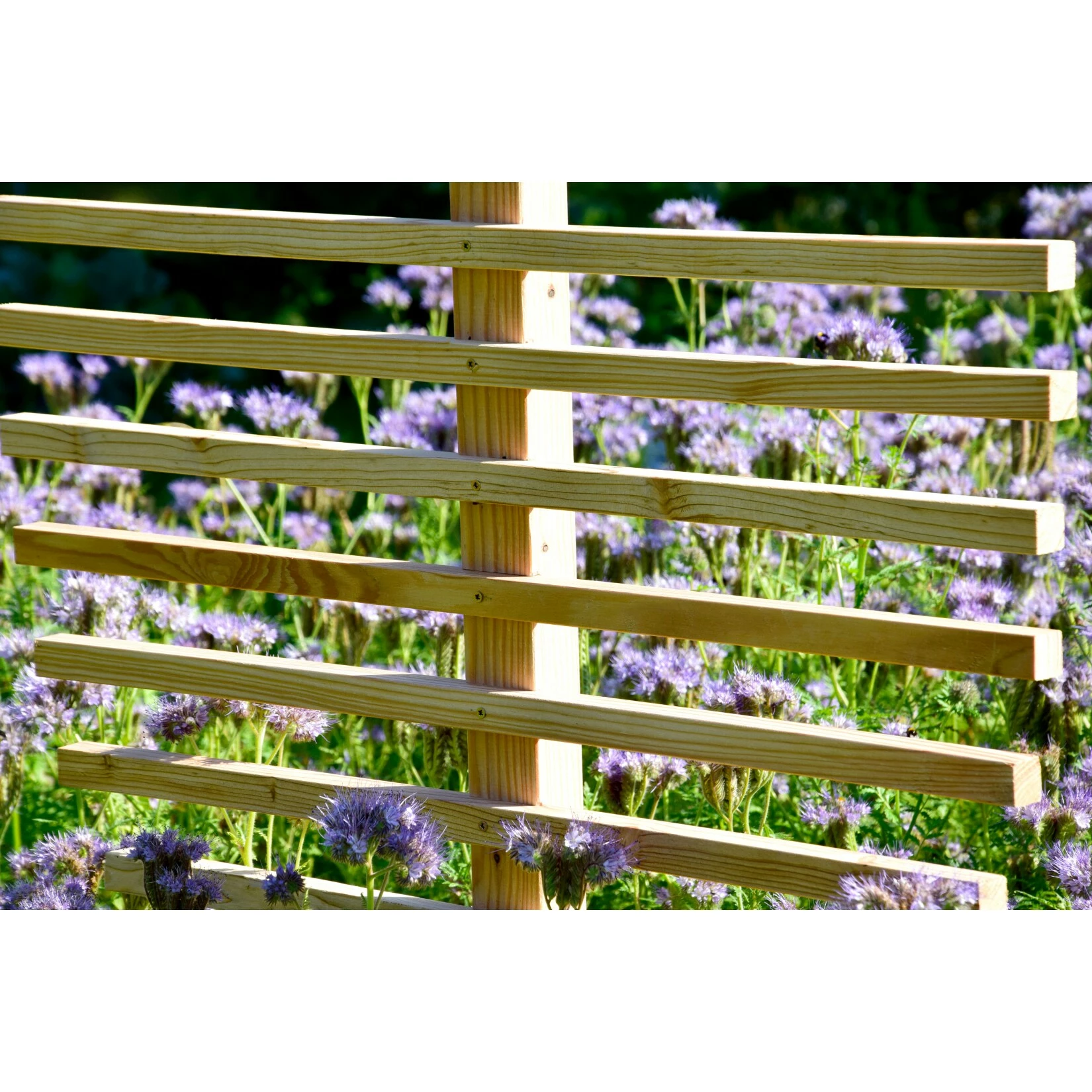 Dobar 58211e Große Rankhilfe In Blattform "fagus" 4 Dobar 58211e Große Rankhilfe In Blattform "fagus" – Bild 4