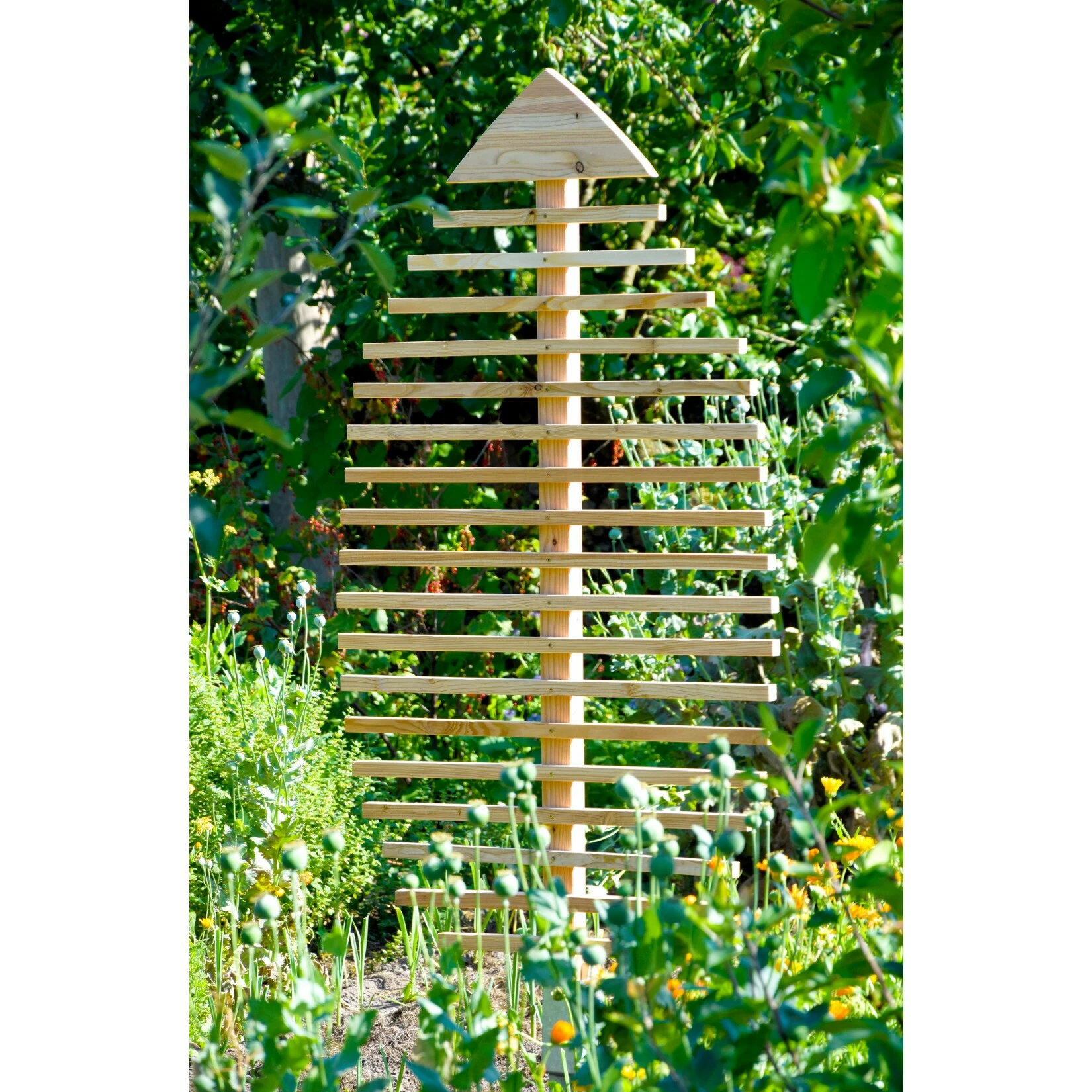 Dobar 58211e Große Rankhilfe In Blattform "fagus" 5 Dobar 58211e Große Rankhilfe In Blattform "fagus" – Bild 5