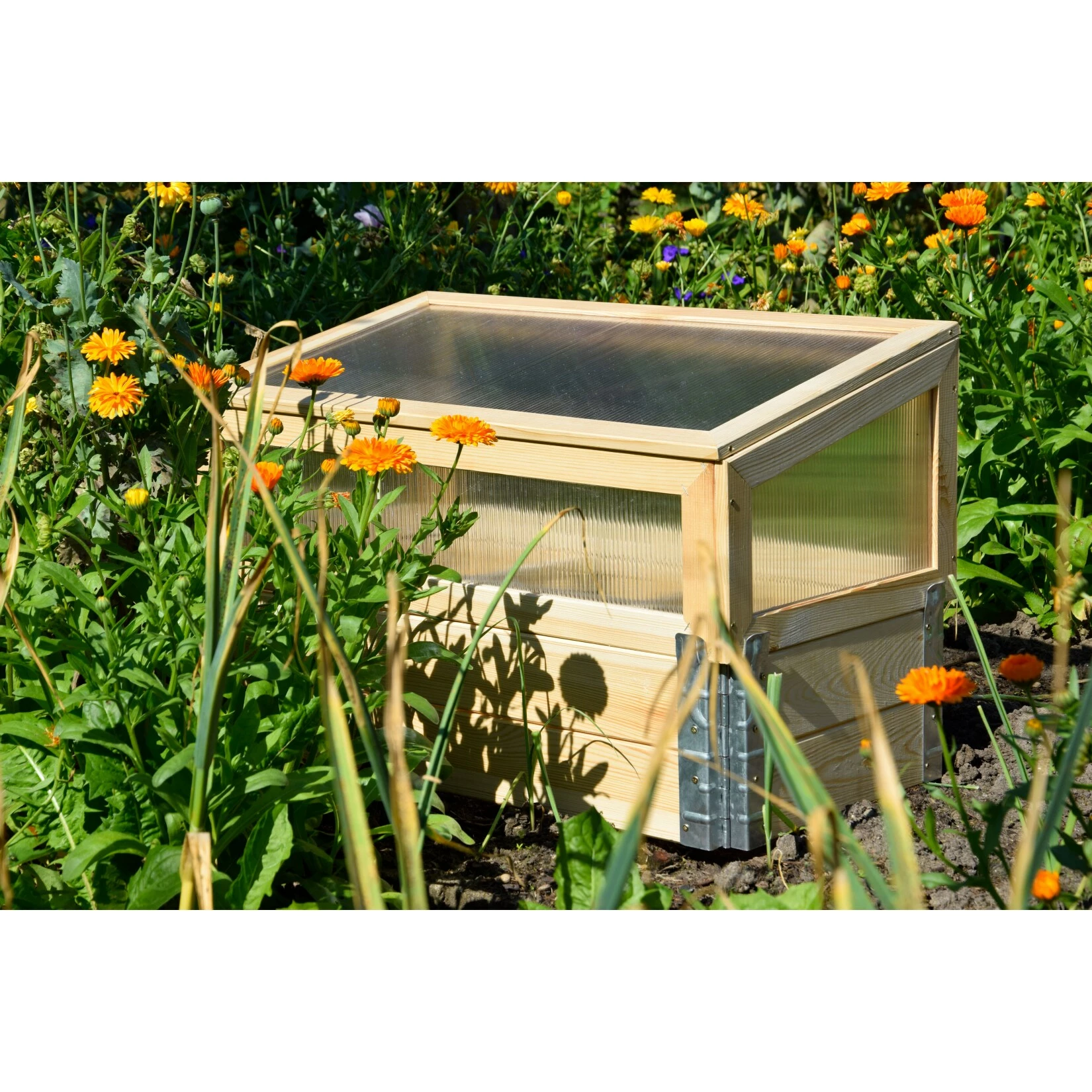 Dobar 58413e Frühbeet Mit Untersatz Gr. M, Transparent, Kiefer 5 Dobar 58413e Frühbeet Mit Untersatz Gr. M, Transparent, Kiefer – Bild 5