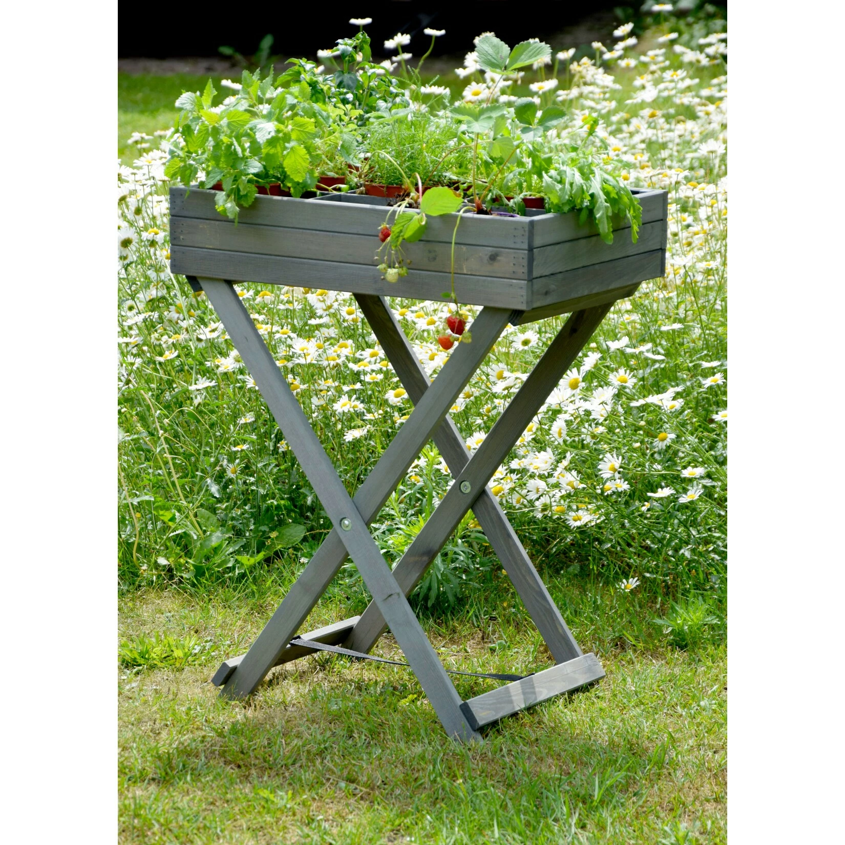 Dobar 58500e Klappbarer Kräutertisch, Kiefer 5 Dobar 58500e Klappbarer Kräutertisch, Kiefer – Bild 5