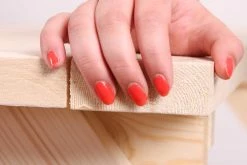 MCW Holzbank Gartenbank Parkbank Catania 148cm Gastronomie-Qualität Massiv ~ Natur 8 MCW Holzbank Gartenbank Parkbank Catania 148cm Gastronomie-Qualität Massiv ~ Natur -Zipper Geschäft 1976012000 prod 003