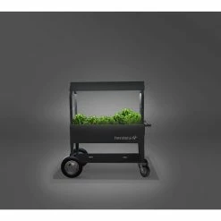 Hestera Garden Herstera Garden Hochbeet Überdachung XXL Anthrazit 6 Hestera Garden Herstera Garden Hochbeet Überdachung XXL Anthrazit -Zipper Geschäft 2024606000 prod 003