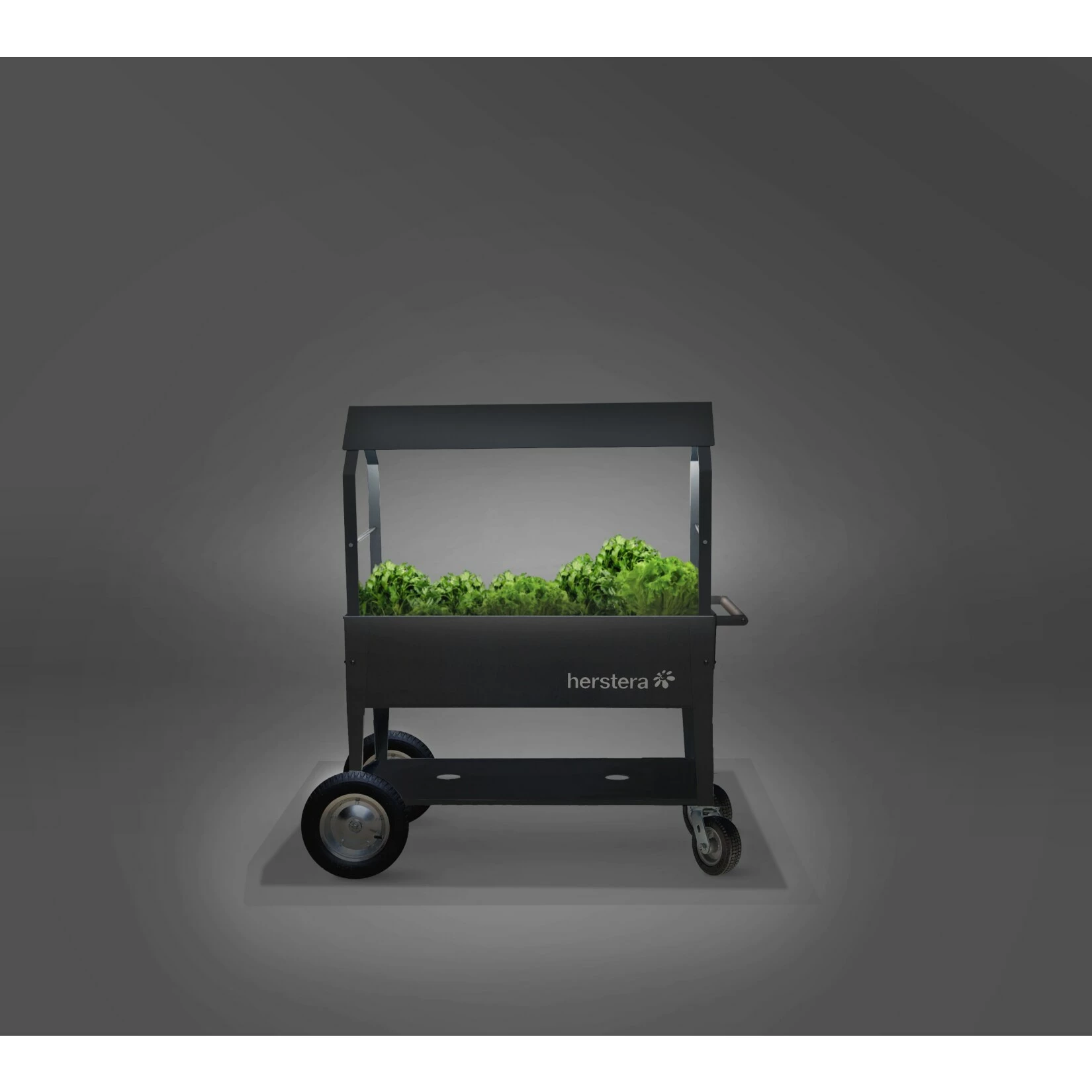 Hestera Garden Herstera Garden Hochbeet Überdachung XXL Anthrazit 3 Hestera Garden Herstera Garden Hochbeet Überdachung XXL Anthrazit – Bild 3