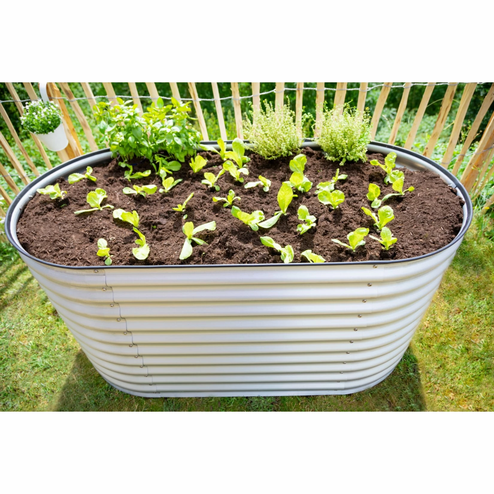 Westmann Metall Hochbeet Gartenbeet Grow Faster Silber 160x80x82 Cm 5 Westmann Metall Hochbeet Gartenbeet Grow Faster Silber 160x80x82 Cm – Bild 5