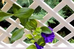 KHW Spalier 100 Cm Mit Erdspieß, Weiß 10 KHW Spalier 100 Cm Mit Erdspieß, Weiß -Zipper Geschäft 2199010000 prod 005