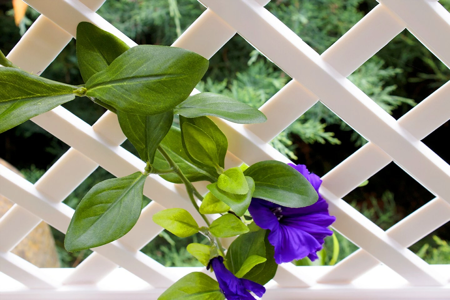 KHW Spalier 100 Cm Mit Erdspieß, Weiß 5 KHW Spalier 100 Cm Mit Erdspieß, Weiß – Bild 5