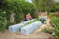 Garantia Sunny Pflanztunnel 3er-Komplettset 8 Garantia Sunny Pflanztunnel 3er-Komplettset -Zipper Geschäft 2217861001 prod 003