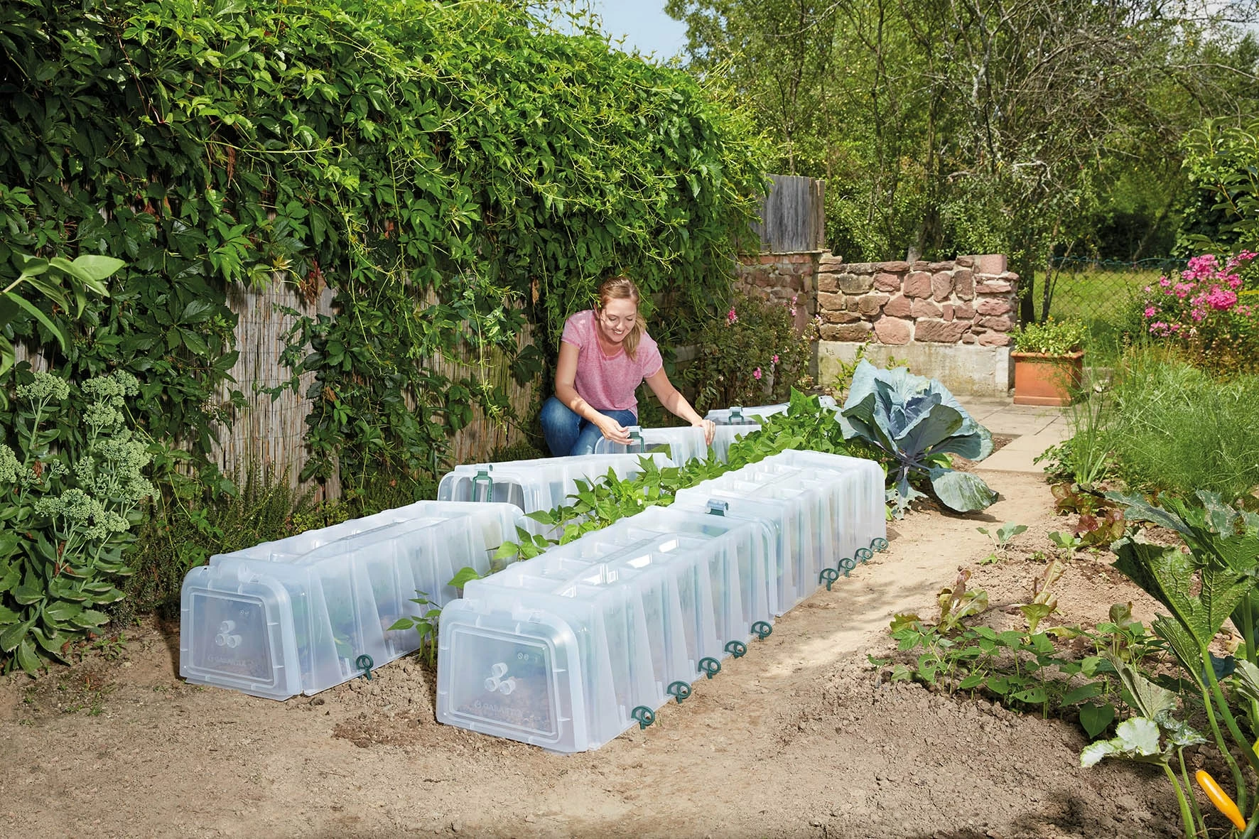 Garantia Sunny Pflanztunnel 3er-Komplettset 3 Garantia Sunny Pflanztunnel 3er-Komplettset – Bild 3