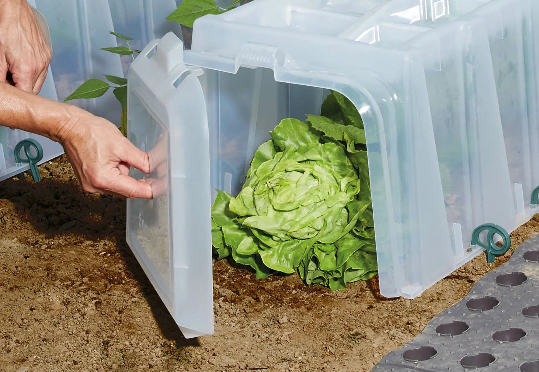 Garantia Sunny Pflanztunnel 3er-Komplettset 4 Garantia Sunny Pflanztunnel 3er-Komplettset – Bild 4