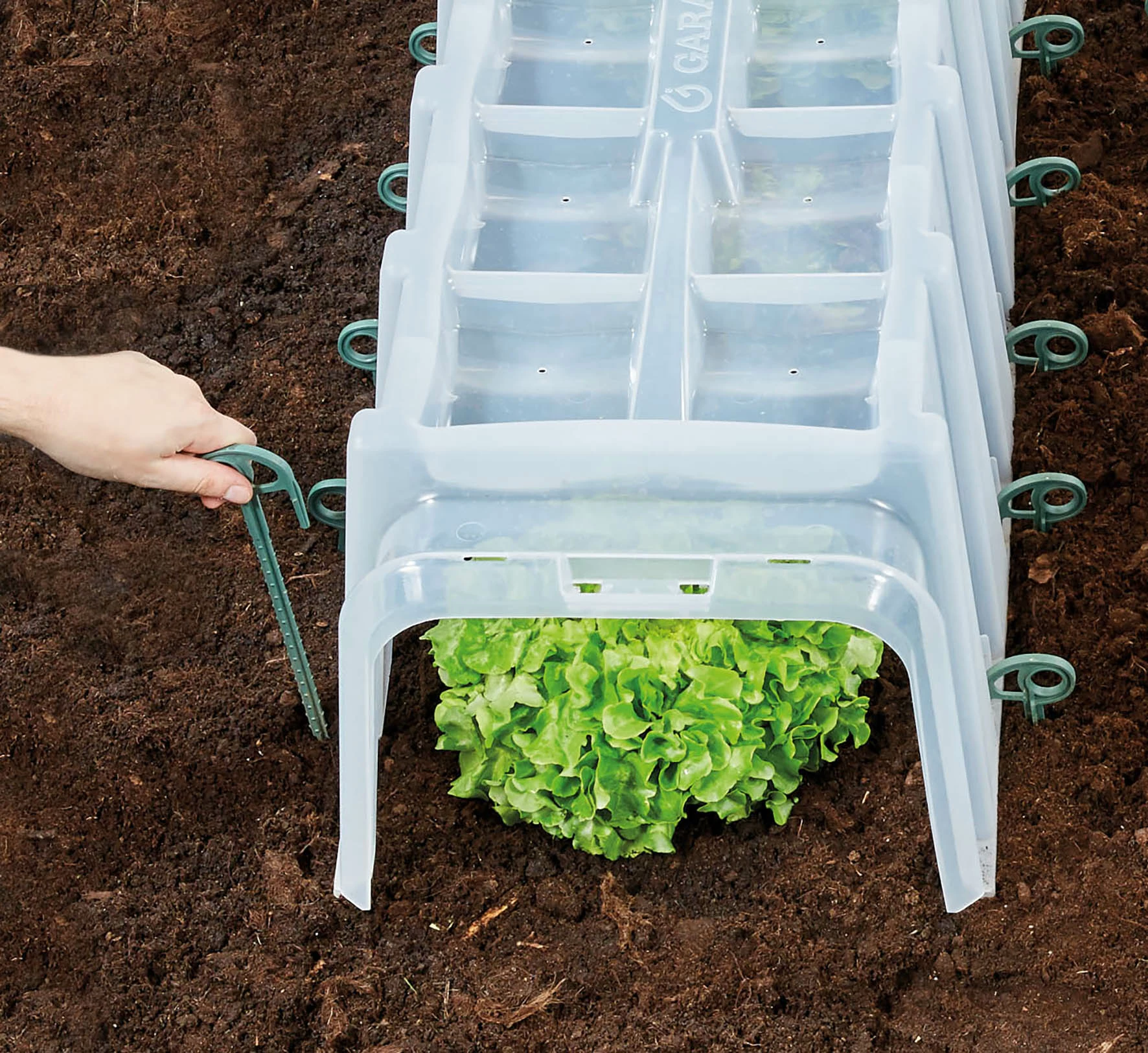 Garantia Sunny Pflanztunnel 3er-Komplettset 5 Garantia Sunny Pflanztunnel 3er-Komplettset – Bild 5