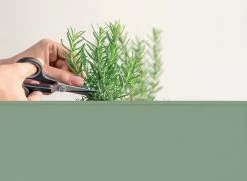 Herstera Garden Hochbeet Urban Versch. Ausführungen 8 Herstera Garden Hochbeet Urban Versch. Ausführungen -Zipper Geschäft 2281946000 prod 003