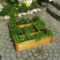 Promadino Kräuterbeet