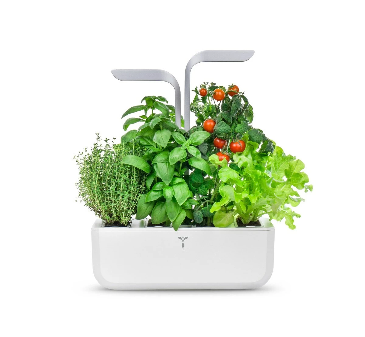 VERITABLE SMART Indoor Garten Weiß Inkl 4 Packs 2 VERITABLE SMART Indoor Garten Weiß Inkl 4 Packs – Bild 2