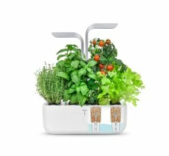 VERITABLE SMART Indoor Garten Weiß Inkl 4 Packs 6 VERITABLE SMART Indoor Garten Weiß Inkl 4 Packs -Zipper Geschäft 8600267600 12259 prod 003