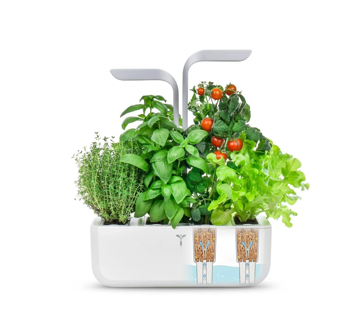 VERITABLE SMART Indoor Garten Weiß Inkl 4 Packs 3 VERITABLE SMART Indoor Garten Weiß Inkl 4 Packs – Bild 3