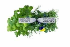 VERITABLE SMART Indoor Garten Weiß Inkl 4 Packs 7 VERITABLE SMART Indoor Garten Weiß Inkl 4 Packs -Zipper Geschäft 8600267600 12259 prod 004