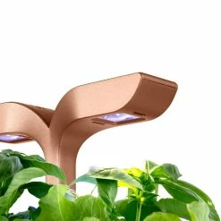 VERITABLE Exky SMART Indoor Garten Kupf. + 2 Packs -Zipper Geschäft 8600267600 12267 prod 003