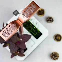 VERITABLE Exky SMART Indoor Garten Kupf. + 2 Packs -Zipper Geschäft 8600267600 12267 prod 004