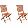 Garden Pleasure 2x Hochlehner Gartenstuhl Gartenstühle Klappstuhl Klappstühle Holz Eukalyptus