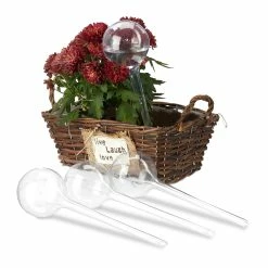 Relaxdays 24 X Bewässerungskugeln Transparent