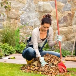 Relaxdays Rankgitter Vogel -Zipper Geschäft 8600323900 1002570249 prod 005