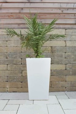 KIOM Pflanzkübel Pflanzsäule GlowTub Square H: 70cm Beleuchtet 10617 -Zipper Geschäft 8600326800 793 prod 003