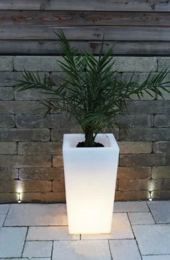 KIOM Pflanzkübel Pflanzsäule GlowTub Square H: 70cm Beleuchtet 10617 -Zipper Geschäft 8600326800 793 prod 005