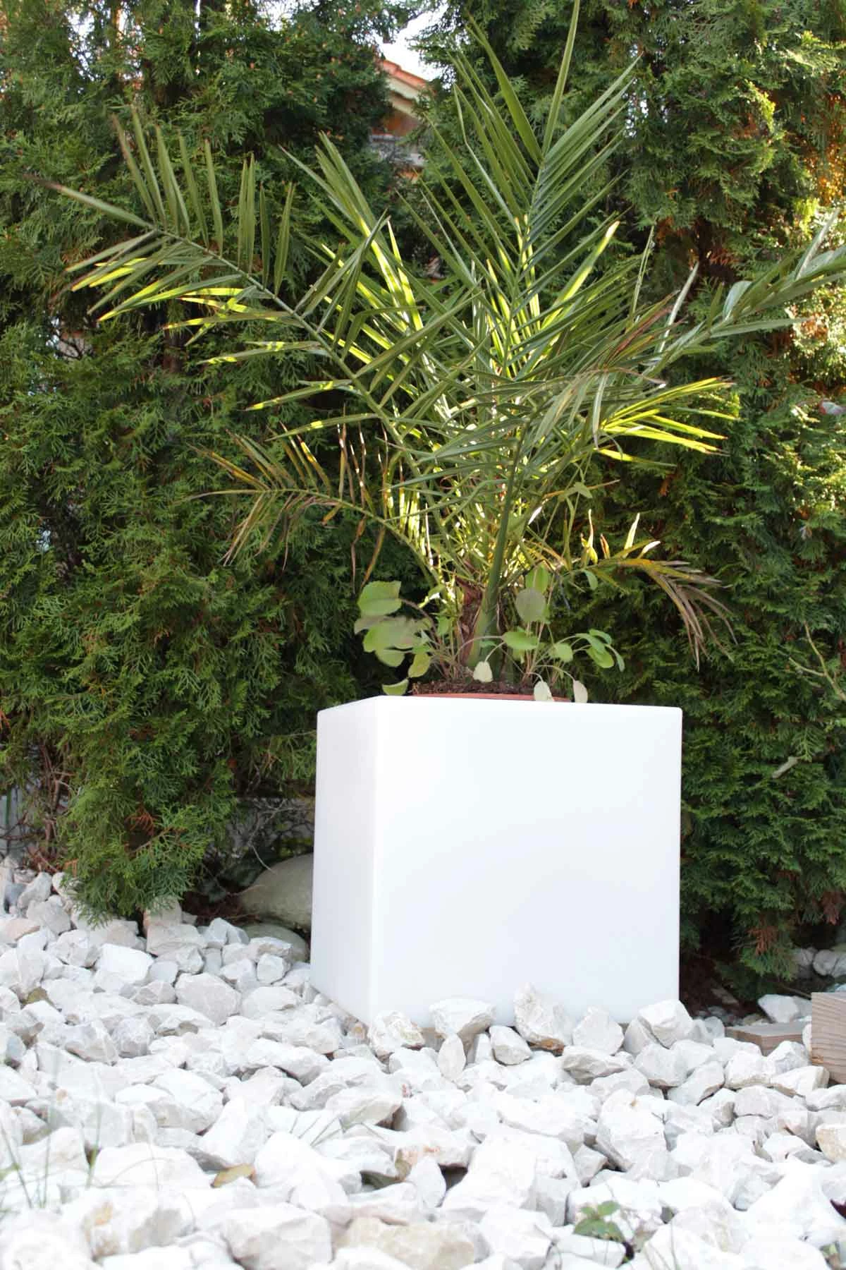 KIOM Pflanzkübel GlowTub Quadratic 38x38x38cm Beleuchtet 10620 2 KIOM Pflanzkübel GlowTub Quadratic 38x38x38cm Beleuchtet 10620 – Bild 2