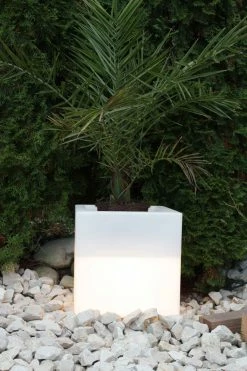 KIOM Pflanzkübel GlowTub Quadratic 38x38x38cm Beleuchtet 10620 8 KIOM Pflanzkübel GlowTub Quadratic 38x38x38cm Beleuchtet 10620 -Zipper Geschäft 8600326800 796 prod 003