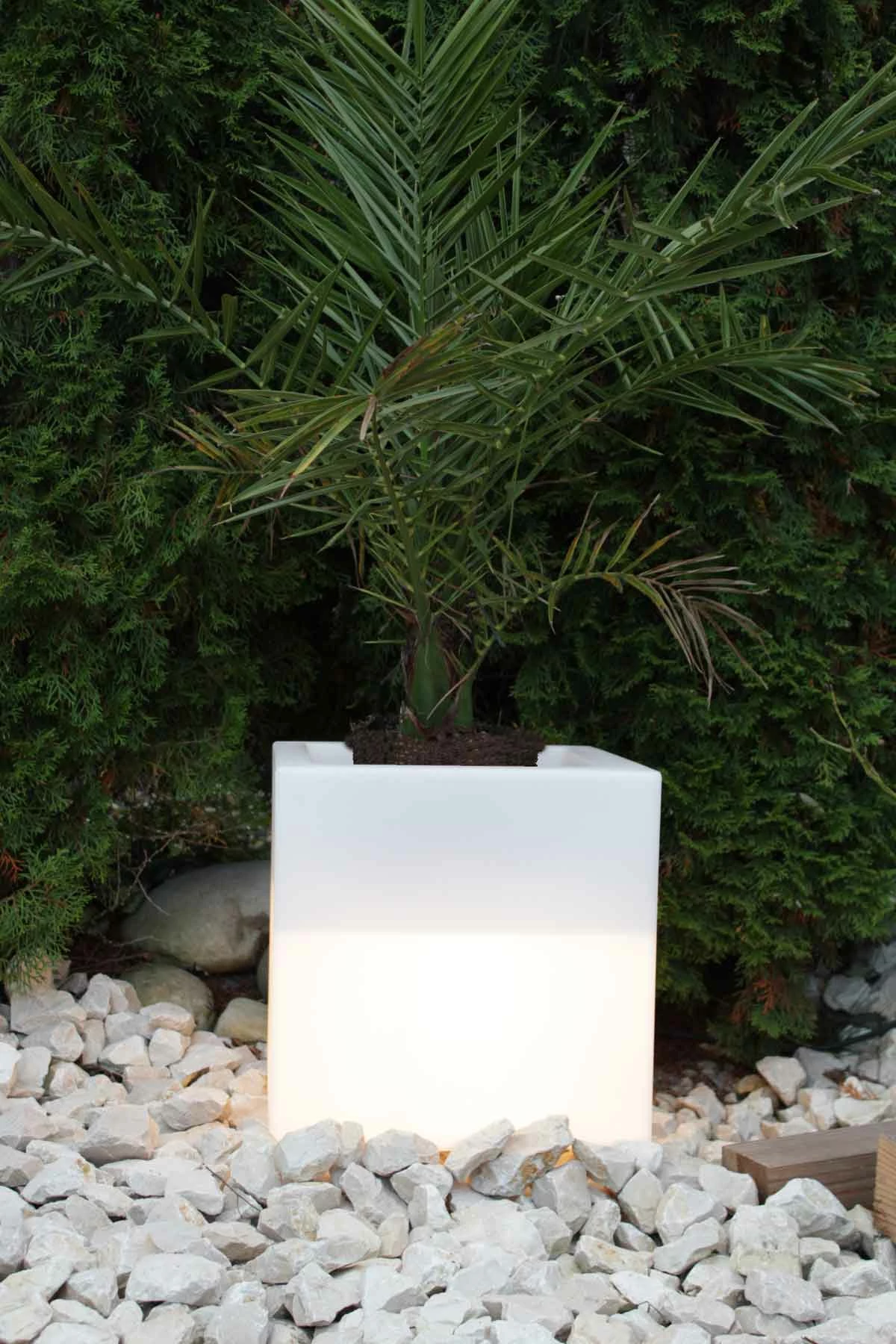 KIOM Pflanzkübel GlowTub Quadratic 38x38x38cm Beleuchtet 10620 3 KIOM Pflanzkübel GlowTub Quadratic 38x38x38cm Beleuchtet 10620 – Bild 3