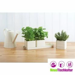 Neuetischkultur Kräutertöpfe Mit Schale Living Nostalgia -Zipper Geschäft 8600330400 50005026 prod 003