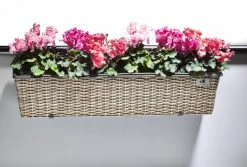 Gartenfreude Balkonkasten Pflanzkasten Geflecht 8 Gartenfreude Balkonkasten Pflanzkasten Geflecht -Zipper Geschäft 8600335500 4000 1009 062 prod 003