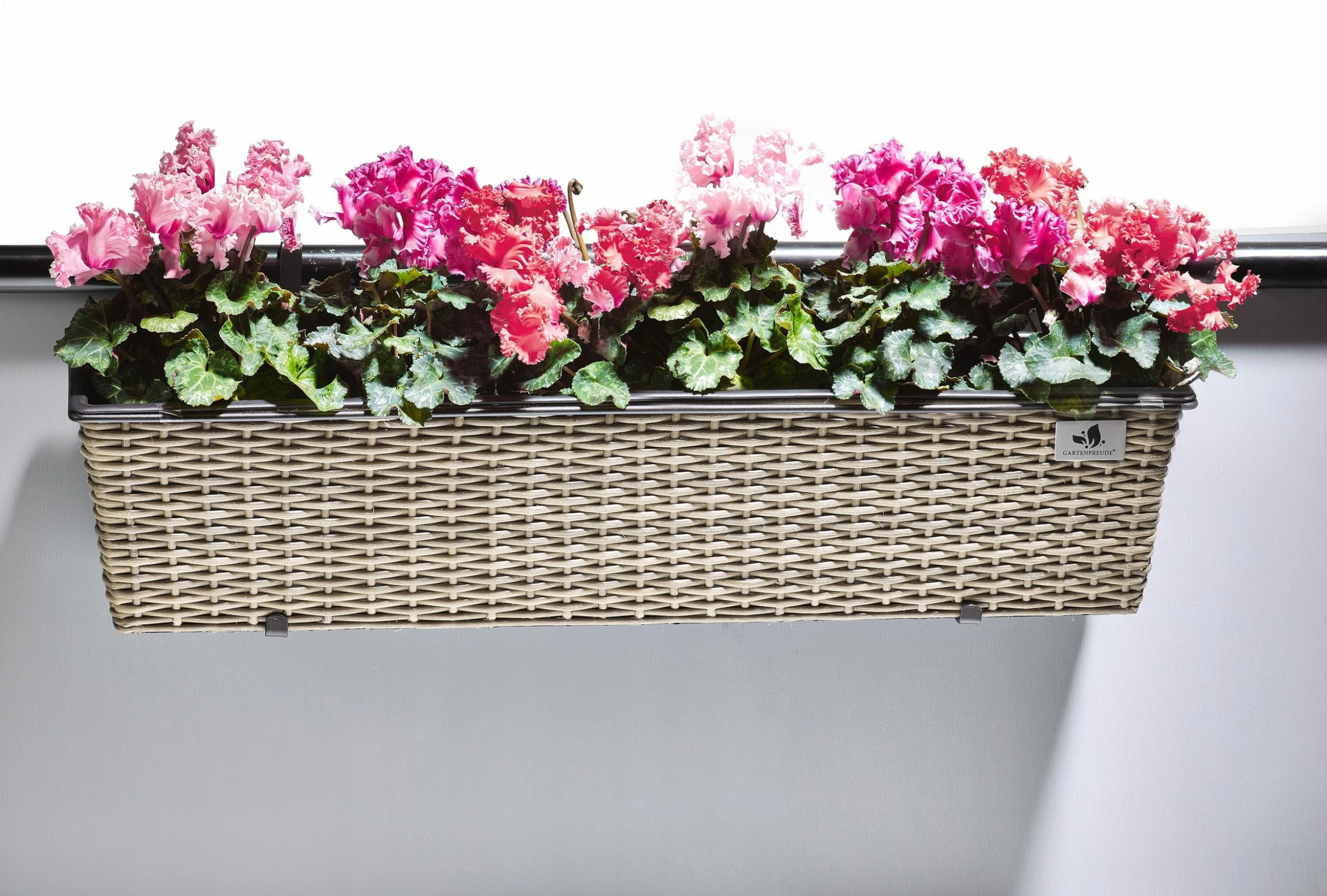 Gartenfreude Balkonkasten Pflanzkasten Geflecht 3 Gartenfreude Balkonkasten Pflanzkasten Geflecht – Bild 3