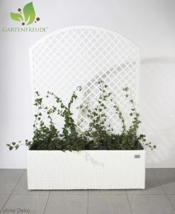 Gartenfreude Pflanzkübel Polyrattan Blumenkasten 11 Gartenfreude Pflanzkübel Polyrattan Blumenkasten -Zipper Geschäft 8600335500 4000 1052 208 prod 006
