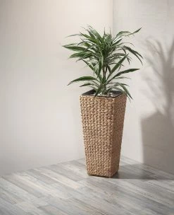 Gartenfreude Pflanzgefäß Blumenkübel Mit Wasserhyazinthe -Zipper Geschäft 8600335500 4001 1000 002 prod 006