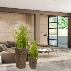 Gartenfreude Pflanzgefäß Pflanzkübel Mit Wasserhyazinthe 2er Set 10 Gartenfreude Pflanzgefäß Pflanzkübel Mit Wasserhyazinthe 2er Set -Zipper Geschäft 8600335500 4001 1010 001 prod 005