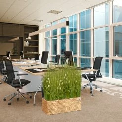 Gartenfreude Pflanzgefäß Pflanzkübel Mit Wasserhyazinthe -Zipper Geschäft 8600335500 4001 1011 002 prod 006