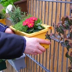 GreenLife Blumenkasten / Kräuterbox 5 Stück, Grün, Komplett -Zipper Geschäft 8600335800 42820 prod 003