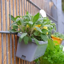 GreenLife Blumenkasten / Kräuterbox 5 Stück, Grün, Komplett -Zipper Geschäft 8600335800 42820 prod 004