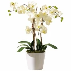 Trendfabrik Kunstpflanze Orchidee Mit Weißem Keramiktopf "Elegance"