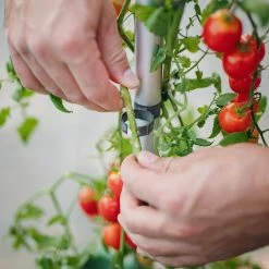 Trendfabrik Tomaten-Anpflanzsystem Tom Tomato Dunkelgrün -Zipper Geschäft 8600342900 9422667 prod 002