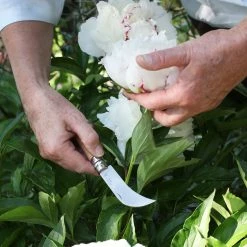 OPINEL Gärtnerhippe Gärtner Messer Blumen Garten Hippe Klappmesser Taschenmesser Variante: Variante 1 -Zipper Geschäft 8600354700 A2295 3761 prod 006